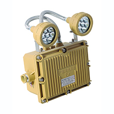 防爆双头应急灯