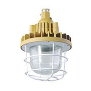 BAD808-A2 LED防爆灯10-30W