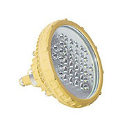 BAD808-C3 LED防爆灯20-100W