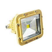 BAD808-K1 LED防爆灯20-40W