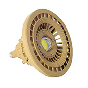 BLE120-90C LED防爆灯