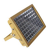 BLE120-120F LED防爆投光灯