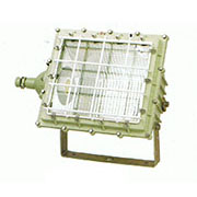 BSD4-II系列防爆投光灯（泛光）