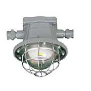 DGS30/127L矿用LED巷道灯