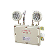 DGS20/127矿用防爆双头应急灯